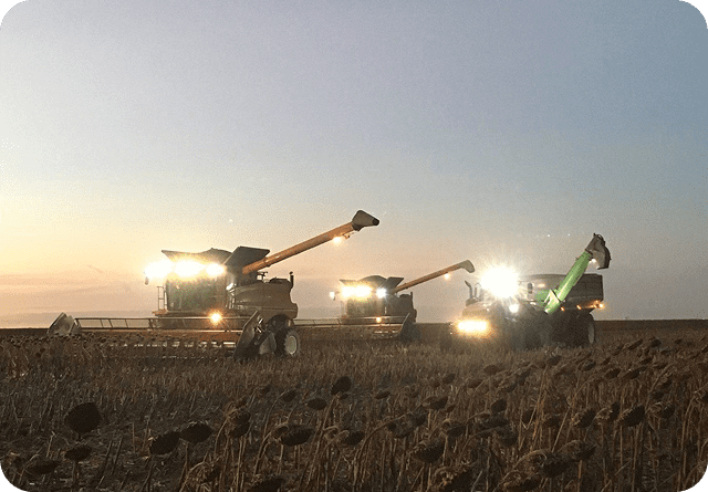 Harvesters working in a field at sunset with bright lights on.