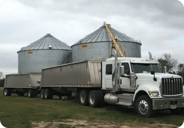 A white semi-truck unloading grain into large metal silos.