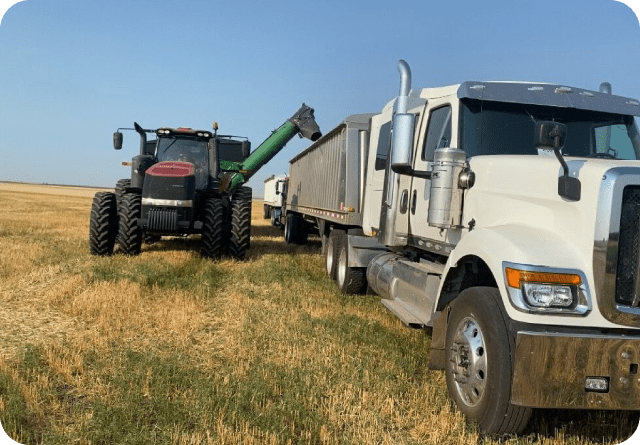 A tractor unloads grain into a truck in a field.